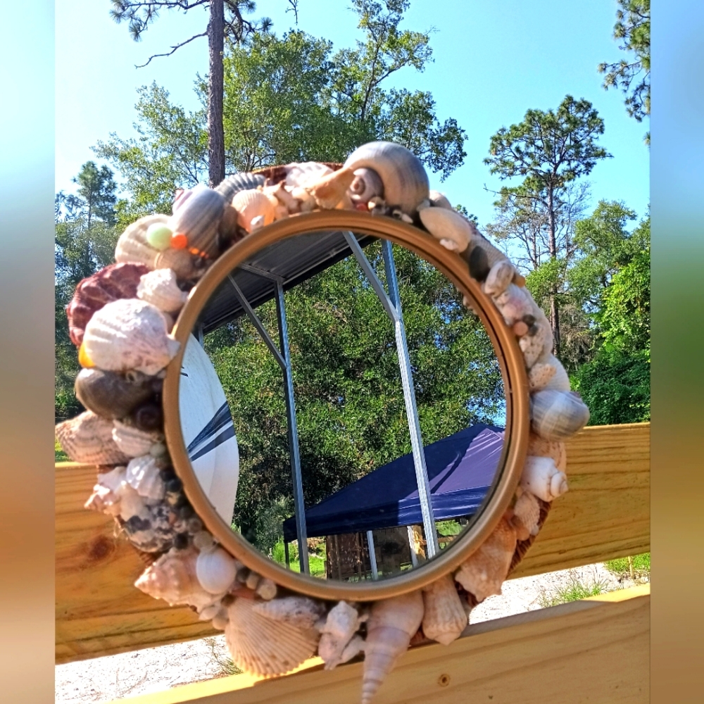 Seashell mirror